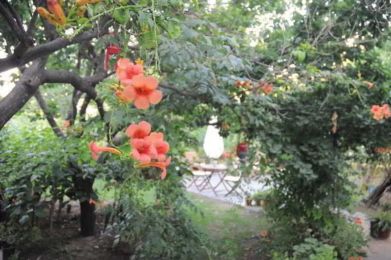 Hotel Gulec Bodrum
