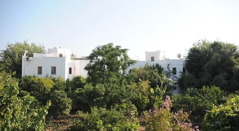**  Hotel Gulec Bodrum Türkei
